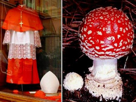 cardinal_mushroom.jpg
