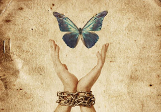freedom-butterfly.jpg